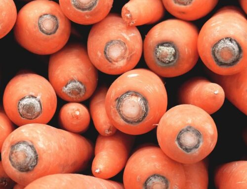 Discover the Difference with new roc foods